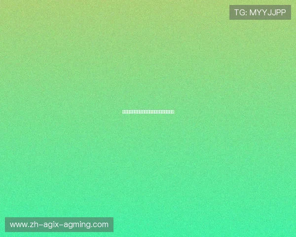 腹肌训练的健身器材：专为腹部打造的器材推荐