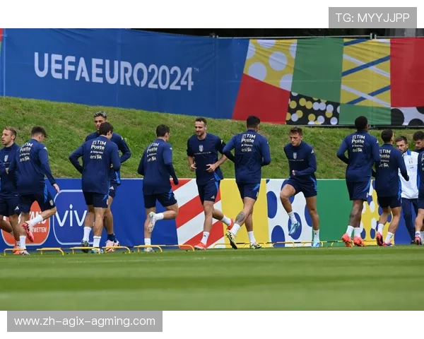 西班牙籍球员在德甲球队中的分布与表现